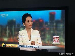 中央2台直播在线观看,实时掌握国家动态,尽享精彩瞬间 第1张 中央2台直播在线观看,实时掌握国家动态,尽享精彩瞬间 第1张